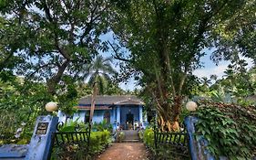 Susegad County Photos